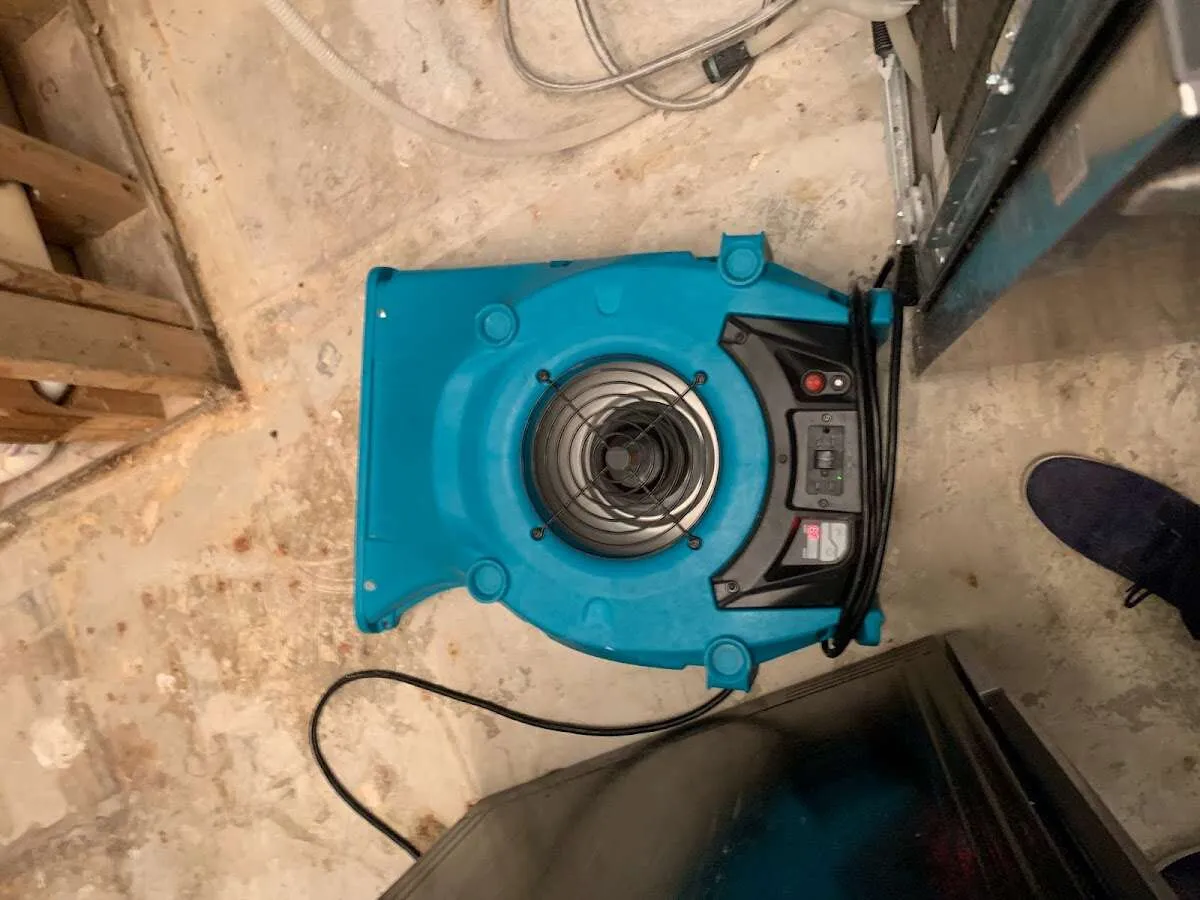 Air mover drying equipment for Mold Remediation & Removal in Stayton